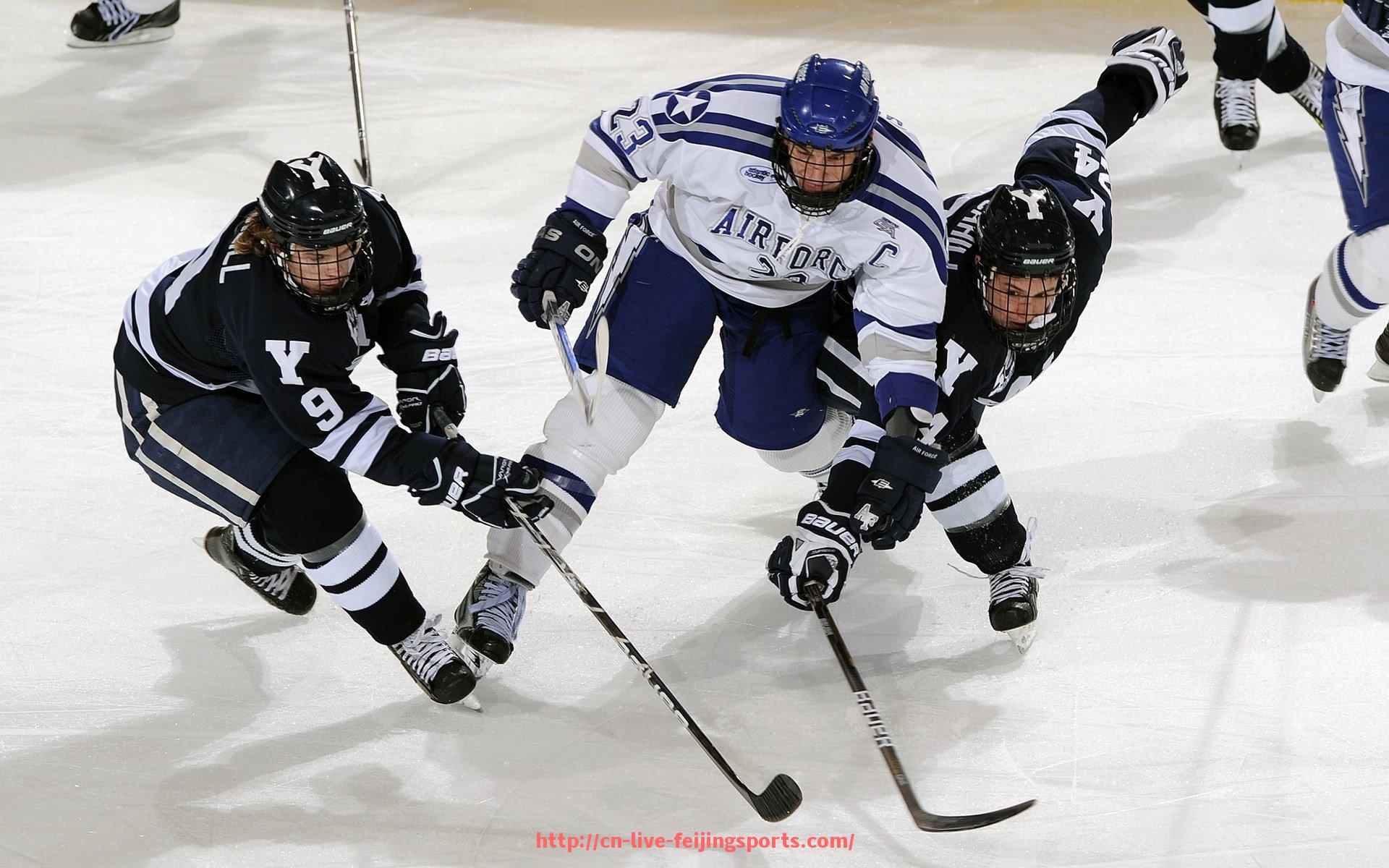 飞鲸体育直播-本赛季参加欧冠的意甲球队阵容深度全面分析